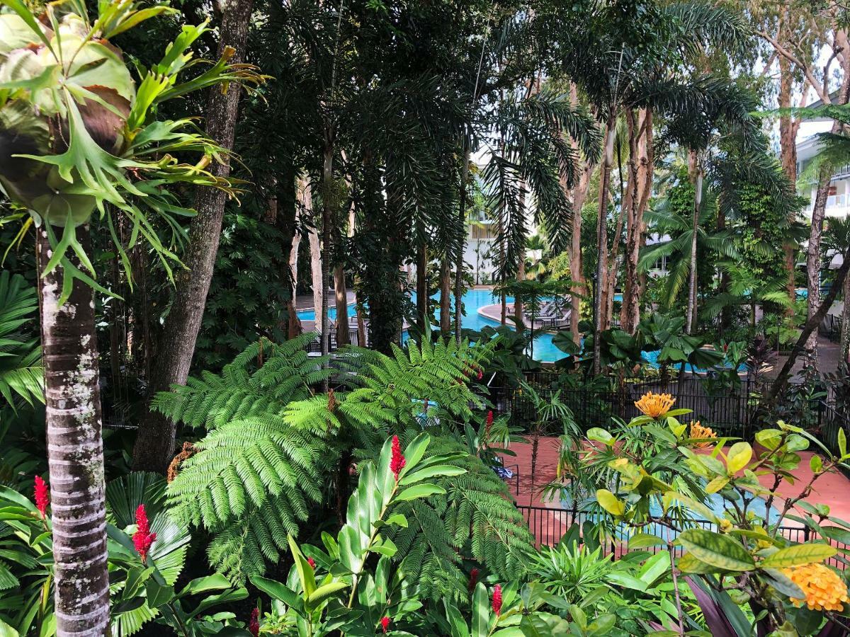 Hotel Drift Palm Cove Exteriér fotografie